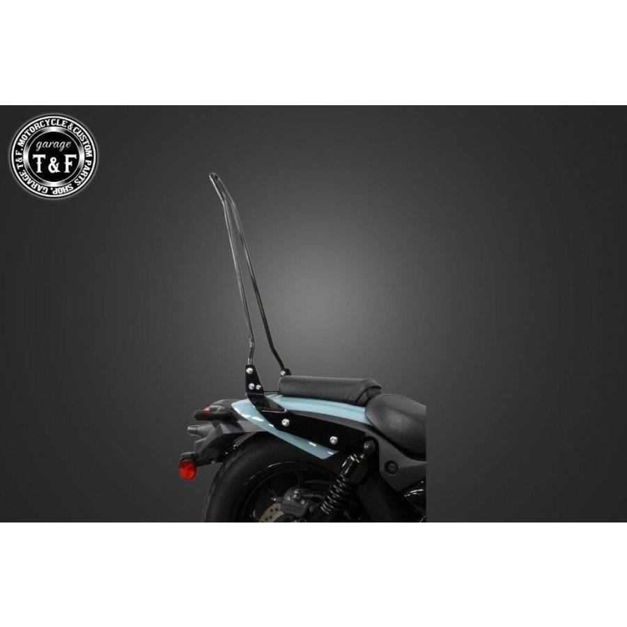 はる Garage T＆F ガレージ 純正フェンダー専用シーシーバー カラー