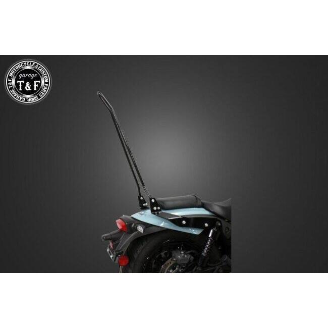 Garage T＆F ガレージ 純正フェンダー専用シーシーバー カラー