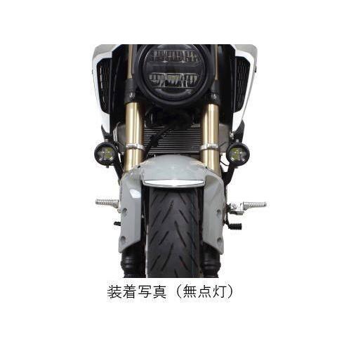 スペシャルパーツ武川 SP武川 SPタケガワ LEDフォグランプキット
