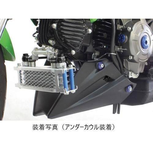 スペシャルパーツ武川 SP武川 SPタケガワ コンパクトクールキット(3