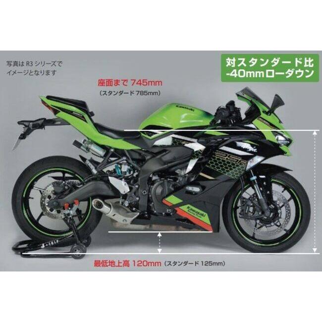 NITRON（ナイトロン） リアサスペンションモノショック NTR R1