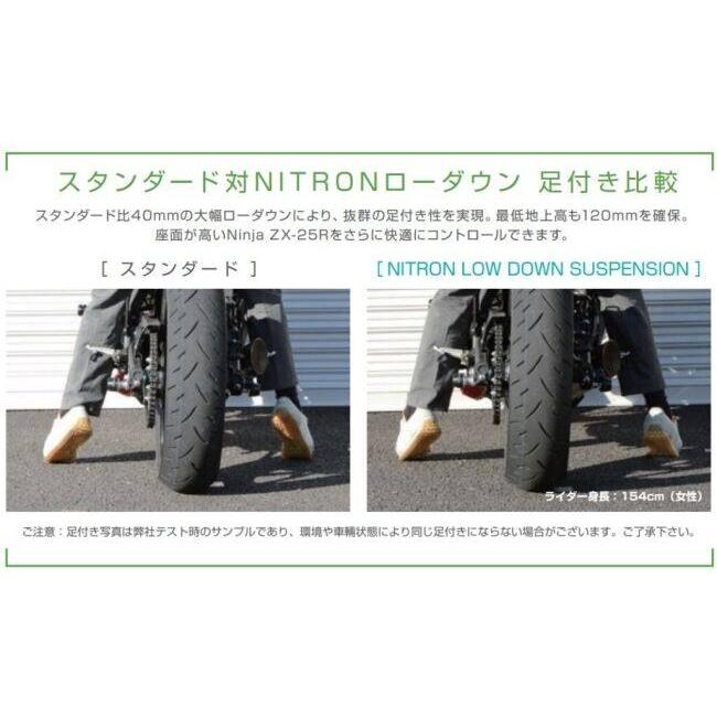 NITRON（ナイトロン） リアサスペンションモノショック NTR R1