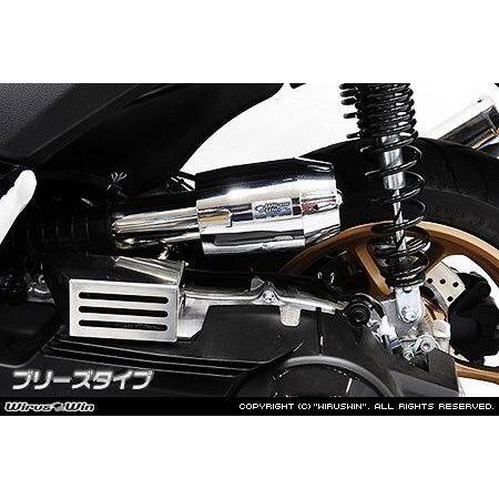 WirusWin ウイルズウィン キャリパータイプ エアクリーナーキット