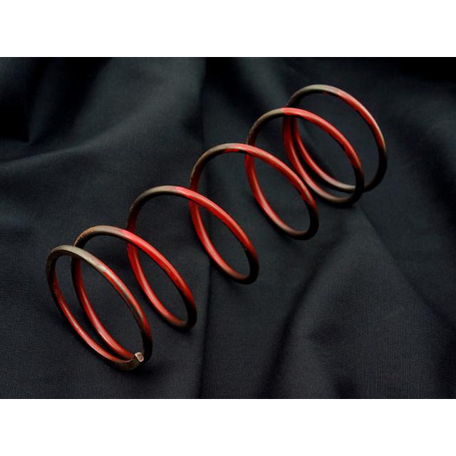 DAYTONA デイトナ スーパークラッチセンタースプリング DJ-1 ジーダッシュ ジュリオ ジョーカー ジョルノ タクト ディオ (2サイクル) XR バハ ライブディオZX | DAYTONA（バイク用品）