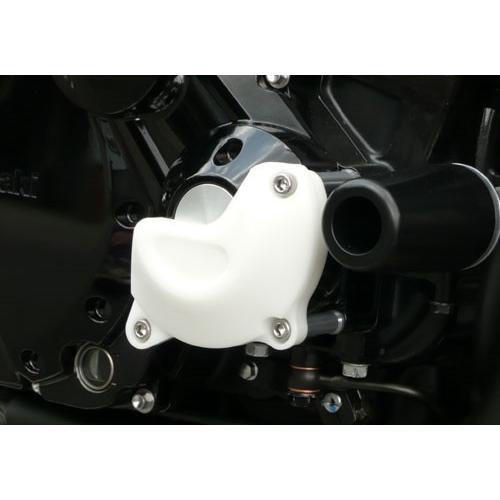 Agras AGRAS アグラス レーシングスライダー カラー：ブラック ZRX1200