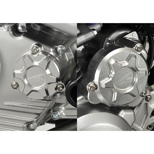 AGRAS アグラス カバーセット カラー：チタン Dトラッカー125 KAWASAKI カワサキ エンジンカバーセット エンジンパーツ エンジン