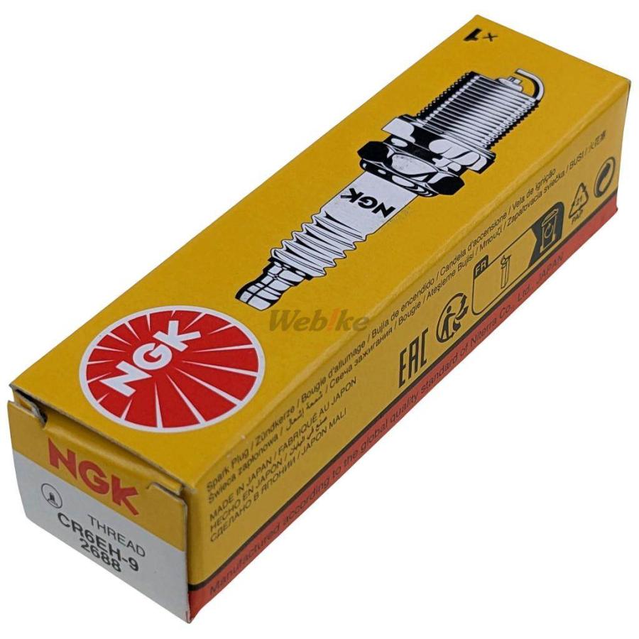 NGK エヌジーケー 標準プラグ CR6EH-9 2688 RTL250F COTA4RT HONDA