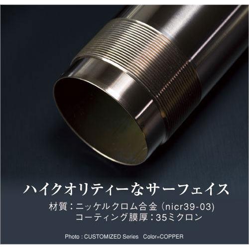 ケップスピード　5.5j BEET（ビート） スポーツリンクプレートキット カラー：シルバー Ninja