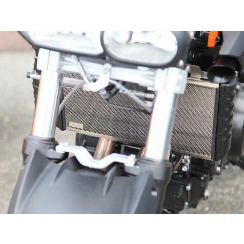 Sasaki sports club ササキスポーツクラブ チタンラジエターガード F800S F800ST F800R F800GS F650GS (2気筒) F800GT F700GS BMW 冷却関連 エンジン
