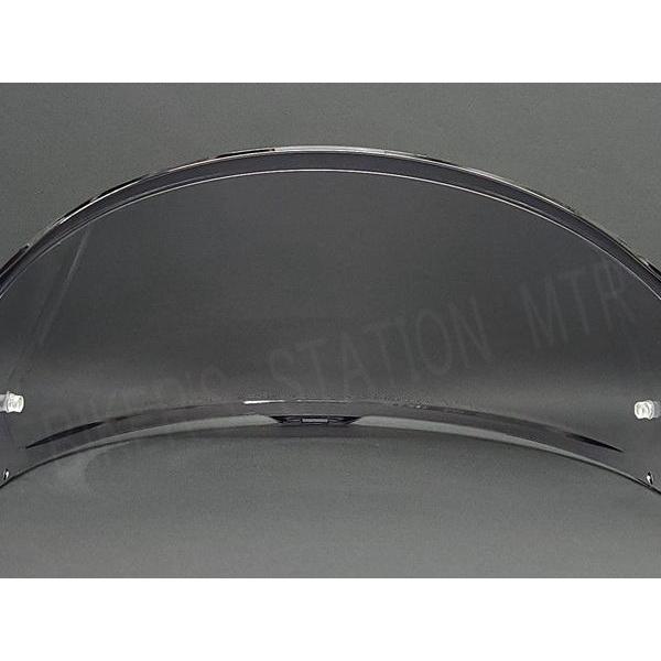 EXTRA SHIELD エキストラ CWR-F2 メロースモークシルバー ミラー