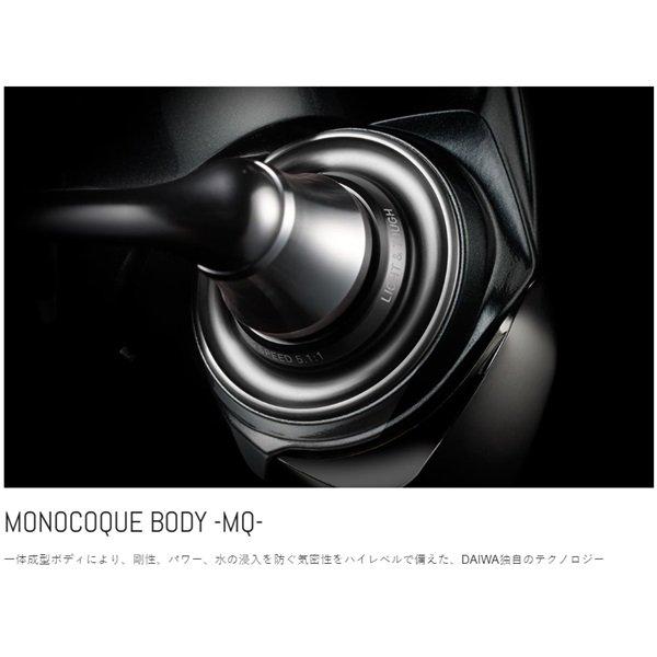 DAIWA（ダイワ） 24ルビアス LUVIAS LT5000D-CXH ショアジギ ジギング