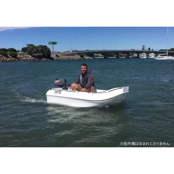 自宅直送 Whalyボート(ウォーリーボート) Whalyboat210 浮沈 自宅直送 Whalyボート(ウォーリーボート) Whalyboat210 浮沈