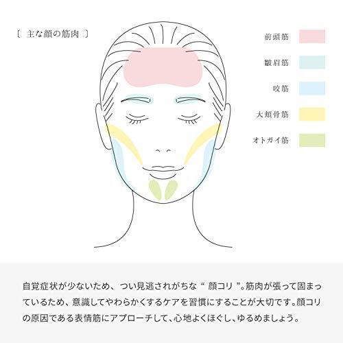 ReFa（リファ） MTG リファリズム ReFa RHYTHM ブラックウッド 顔専用