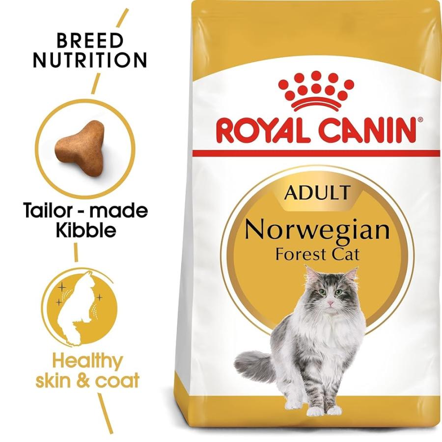 【賞味期限2026年8月31日】ロイヤルカナン FBN ノルウェージャンフォレストキャット 成猫用 2kg★■ |  | 01