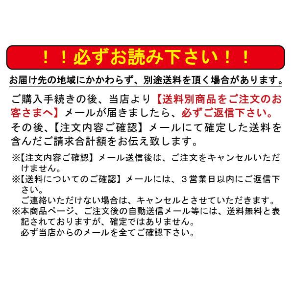 【別途送料有り】富士フイルム A4モノクロレーザープリンター ApeosPort Print 4020SD NL300085