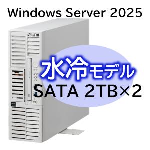 NEC Express5800/D/T110m-S 水冷モデル Xeon 6315P 4C/16GB/SATA 2TB*2
