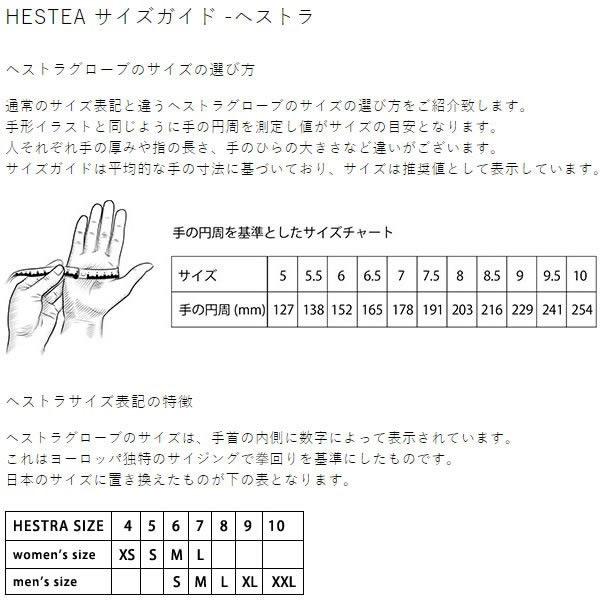 HESTRA（ヘストラ） スキーグローブ フォール ライン FALL LINE / CORK