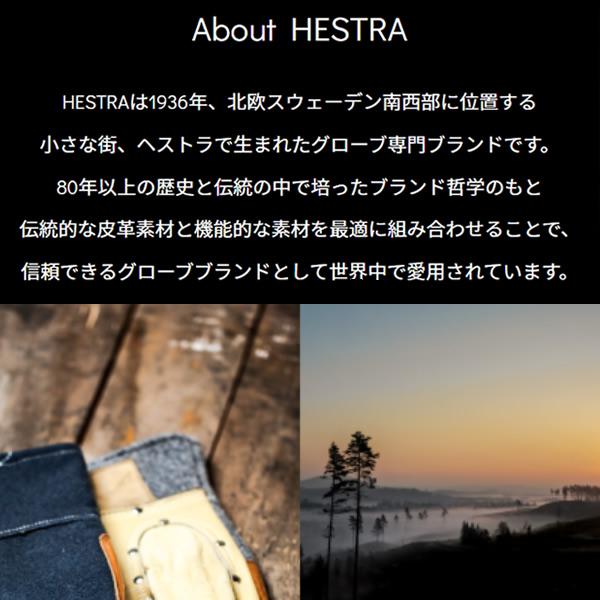 HESTRA（ヘストラ） スキーグローブ フォール ライン FALL LINE / CORK