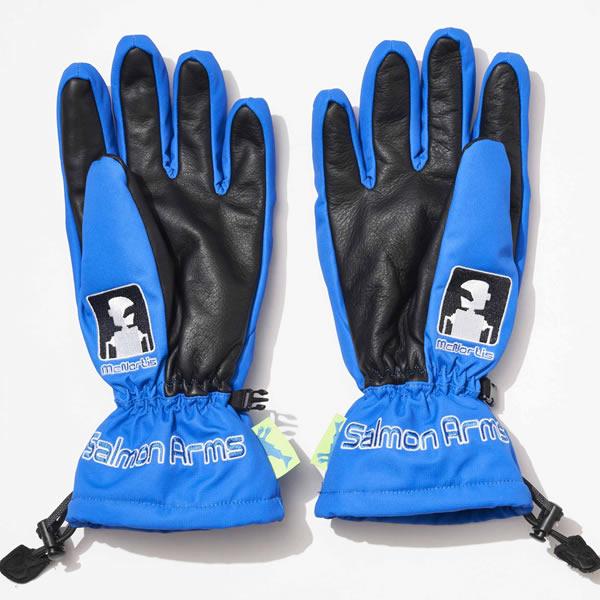 サーモンアームズ グローブ SALMON ARMS / THE GLOVE MID STYLE