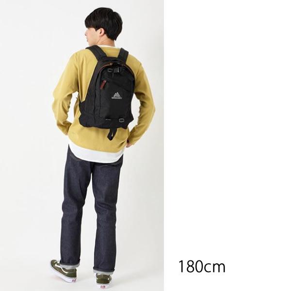 GREGORY（グレゴリー） リュック 正規品 ファインデイ V2 ブラック 18L