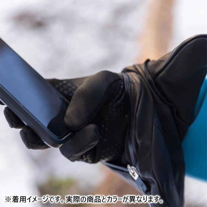 スキー グローブ ミトン 手が出せる スワニー SWANY レディース TS