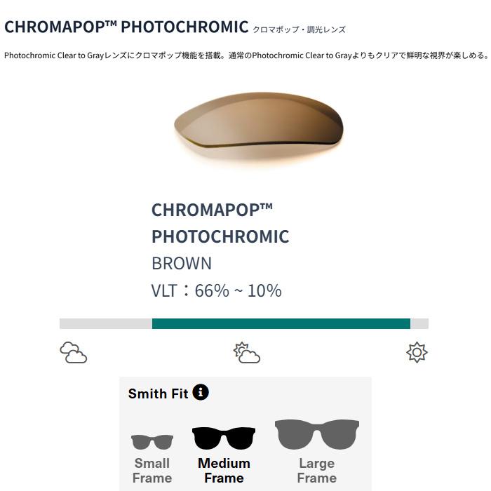 SMITH（スミス） スミスサングラス 調光レンズ SMITH Lowdown 2 Matte