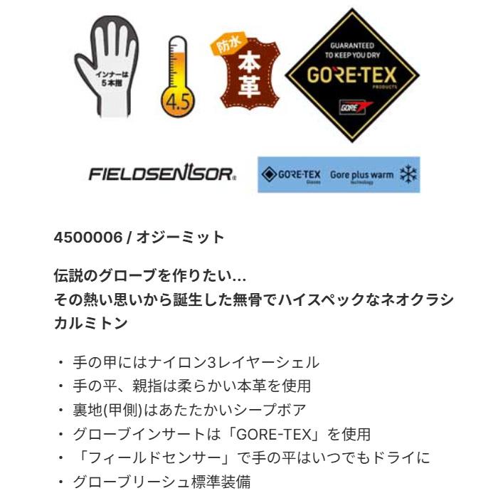 eb's（エビス） スノーボード グローブ ミトン ebs グローブ GORE-TEX