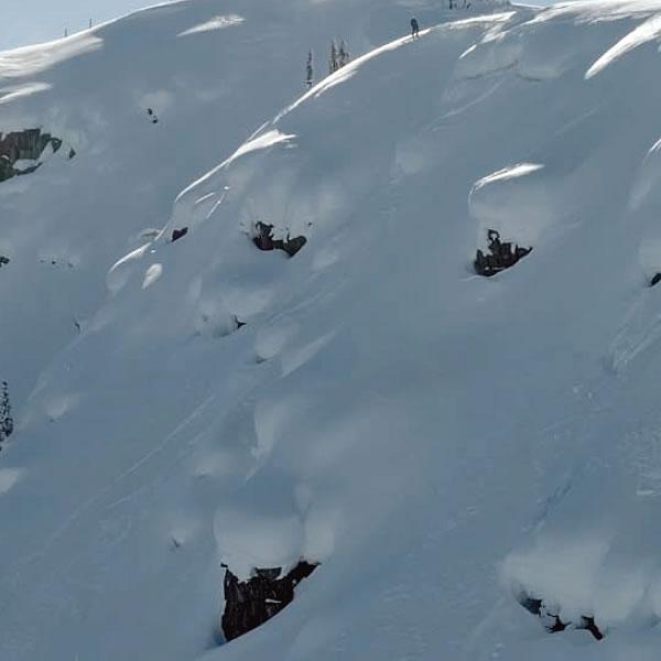 中古品 RMU 2024 BUTTERKNIFE -WOOD- バターナイフ スキー板 単品 23-24 ロッキーマウンテンアウダーグラウンド 日本正規品 【YWU1476155489】(53742円)