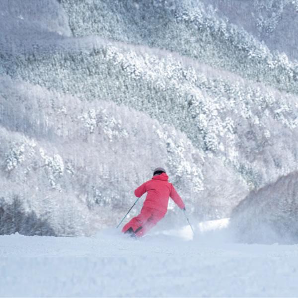 OGASAKA（オガサカ） スキーポール LC-FS/RD レッド 95〜120cm 伸縮式