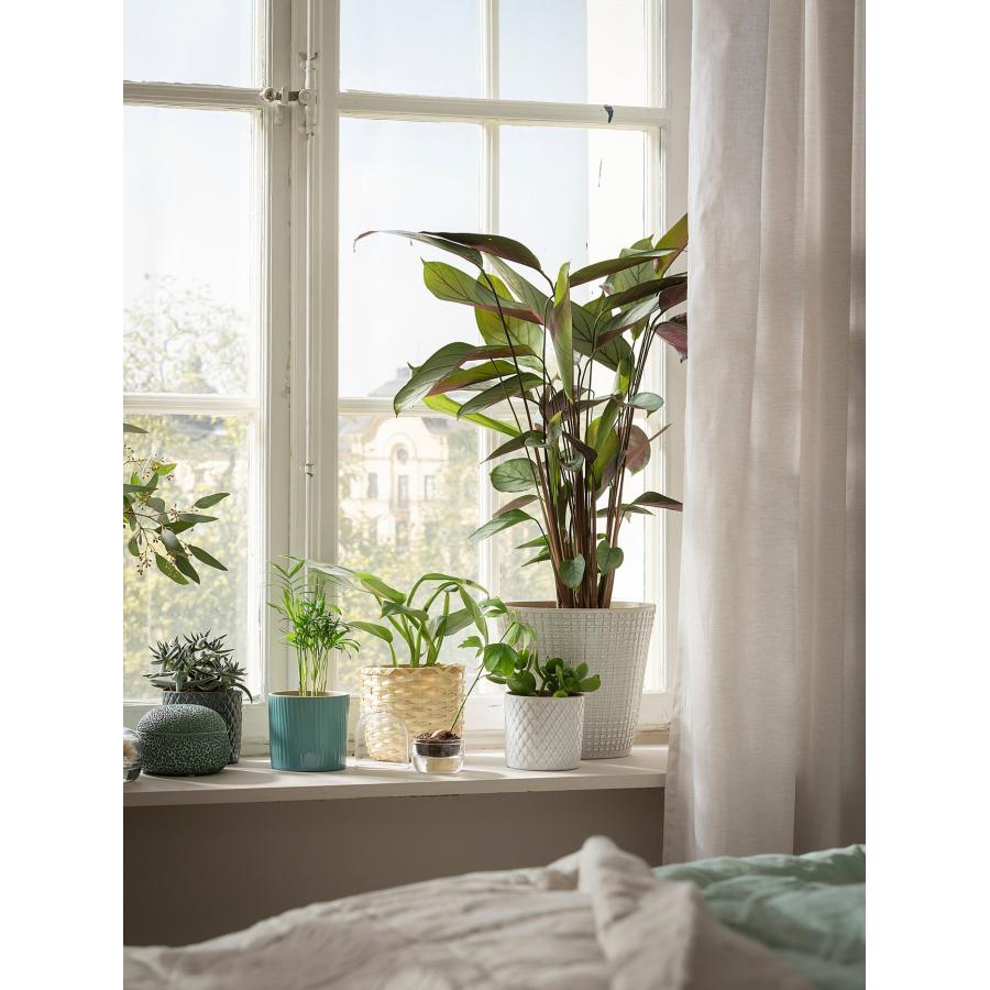 [IKEA/イケア/通販]CHIAFRON シーアフローン 鉢カバー, ホワイト, 9 cm[A](10441908) |  | 01