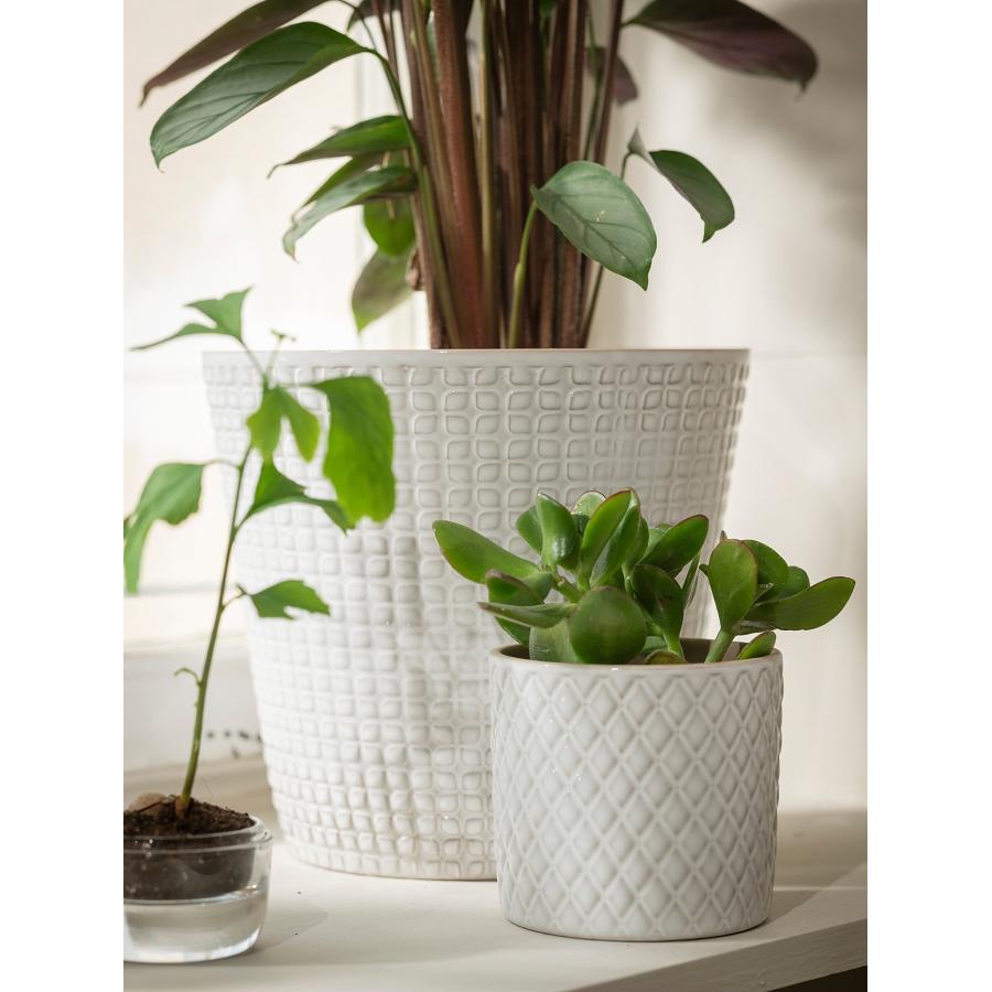 [IKEA/イケア/通販]CHIAFRON シーアフローン 鉢カバー, ホワイト, 9 cm[A](10441908) |  | 02