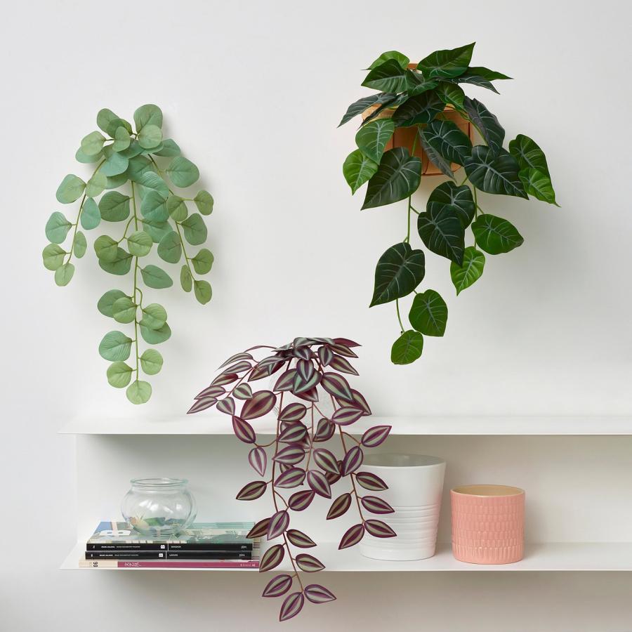 [IKEA/イケア/通販]FEJKA フェイカ 人工観葉植物 ウォールホルダー付き, 室内/屋外用/グリーン/ライラック[D](10548626) |  | 01