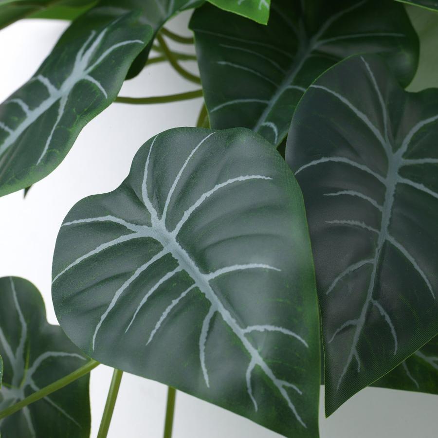 [IKEA/イケア/通販]FEJKA フェイカ 人工観葉植物 ウォールホルダー付き, 室内/屋外用/グリーン/ライラック[D](10548626) |  | 06
