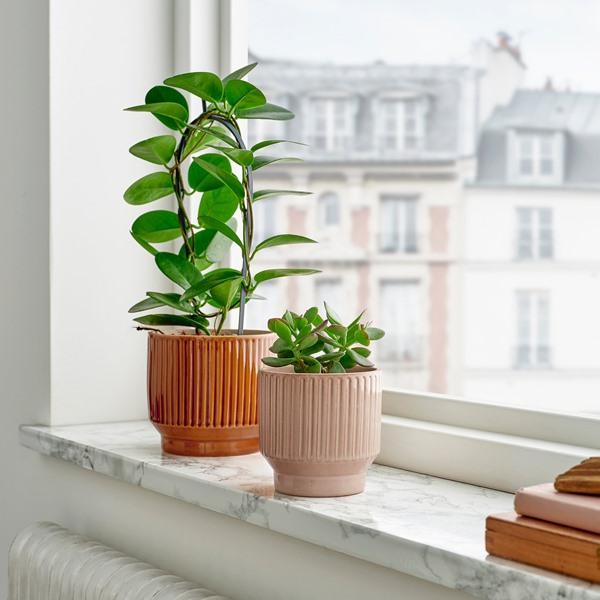 [IKEA/イケア/通販]HONUNGSPALM ホヌングスパルム鉢カバー, 室内/屋外用/ベージュ,9 cm[A](10595793) |  | 01