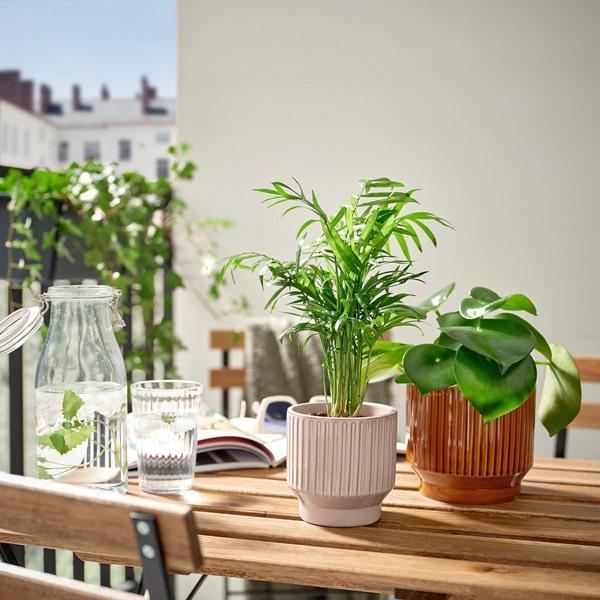 [IKEA/イケア/通販]HONUNGSPALM ホヌングスパルム鉢カバー, 室内/屋外用/ベージュ,9 cm[A](10595793) |  | 02