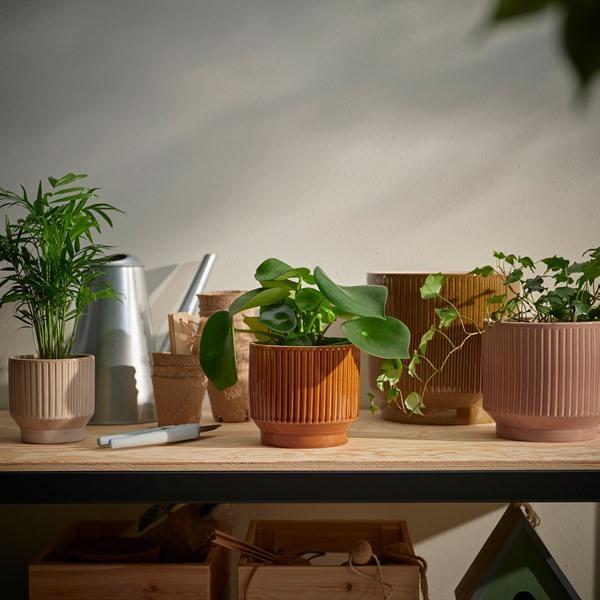 [IKEA/イケア/通販]HONUNGSPALM ホヌングスパルム鉢カバー, 室内/屋外用/ベージュ,9 cm[A](10595793) |  | 04