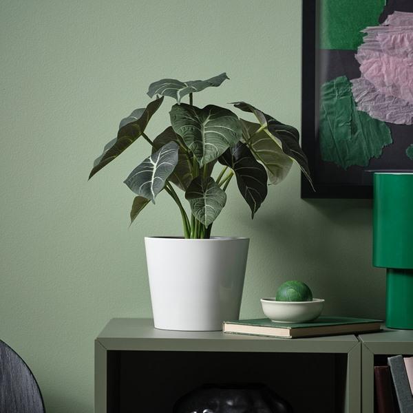 [IKEA/イケア/通販]FEJKA フェイカ人工観葉植物, 室内/屋外用 アロカシア,12 cm[B](10600879) |  | 01