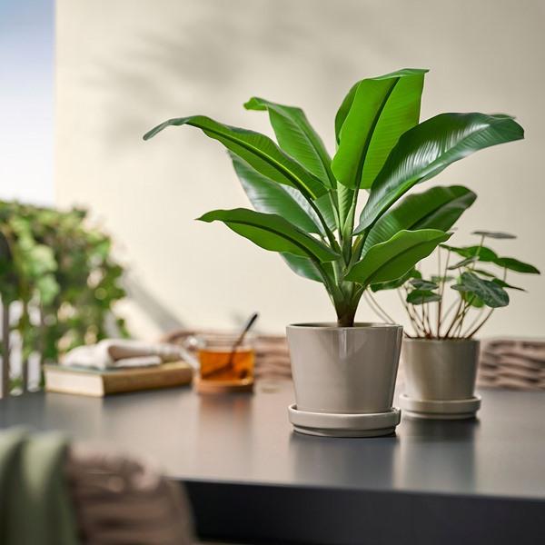 [IKEA/イケア/通販]FEJKA フェイカ人工観葉植物, 室内/屋外用 バナナの木,12 cm[C](10600898) |  | 02