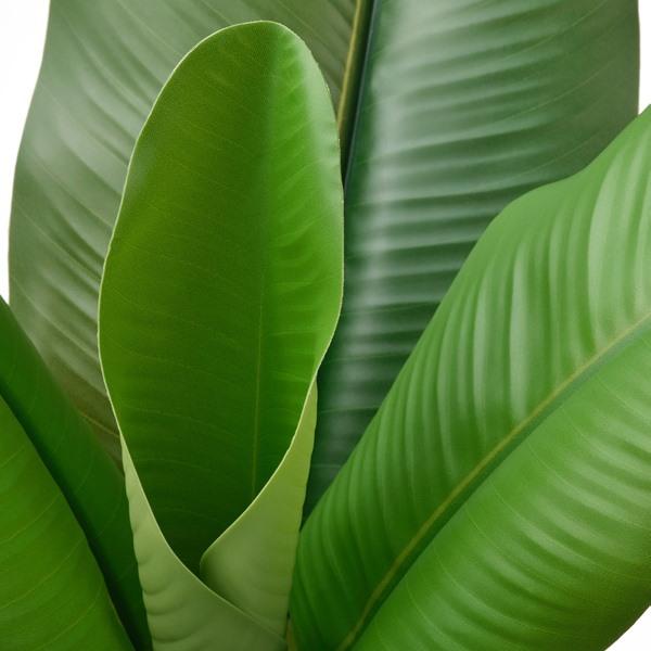 [IKEA/イケア/通販]FEJKA フェイカ人工観葉植物, 室内/屋外用 バナナの木,12 cm[C](10600898) |  | 03