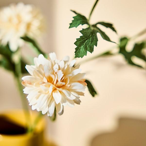 [IKEA/イケア/通販]SMYCKA スミッカ造花, 室内/屋外用 キク/ホワイト,71 cm[C](10606046) |  | 03