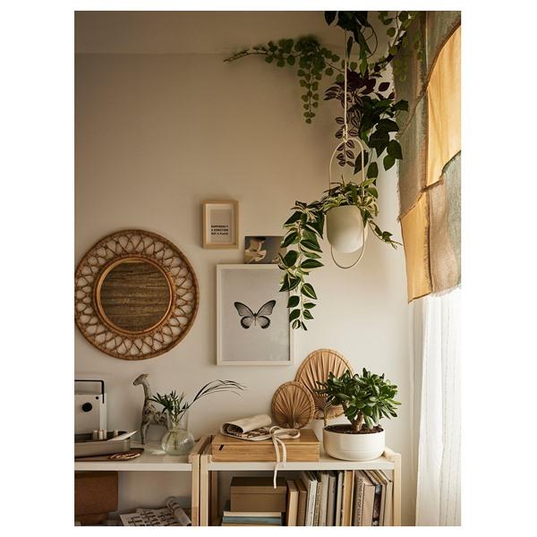 [IKEA/イケア/通販]FEJKA フェイカ人工観葉植物, 室内/屋外用/トラデスカンチア・ゼブリナ,12 cm[E](10615239) |  | 01