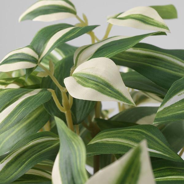 [IKEA/イケア/通販]FEJKA フェイカ人工観葉植物, 室内/屋外用/トラデスカンチア・ゼブリナ,12 cm[E](10615239) |  | 03