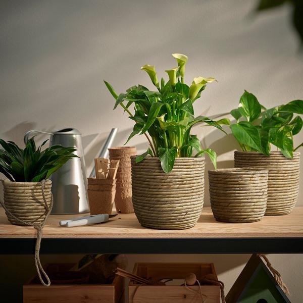 [IKEA/イケア/通販]SANDODLA サンドードラ鉢カバー, ホテイアオイ,15 cm[A](10630169) |  | 02