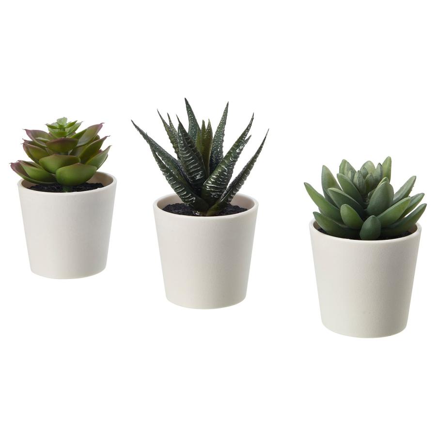 [IKEA/イケア/通販]FEJKA フェイカ 人工観葉植物 鉢カバー付き, 室内/屋外用 多肉植物, 6 cm3 ピース[A](20519765) | 