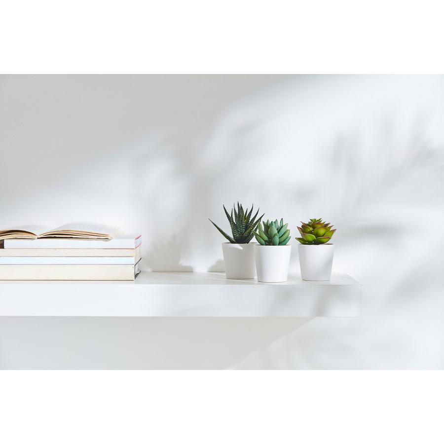 [IKEA/イケア/通販]FEJKA フェイカ 人工観葉植物 鉢カバー付き, 室内/屋外用 多肉植物, 6 cm3 ピース[A](20519765) |  | 05