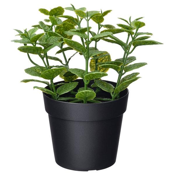 [IKEA/イケア/通販]FEJKA フェイカ人工観葉植物, 室内/屋外用 ミント,9 cm[A](20600869) | 
