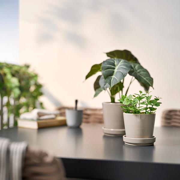 [IKEA/イケア/通販]FEJKA フェイカ人工観葉植物, 室内/屋外用 ミント,9 cm[A](20600869) |  | 02