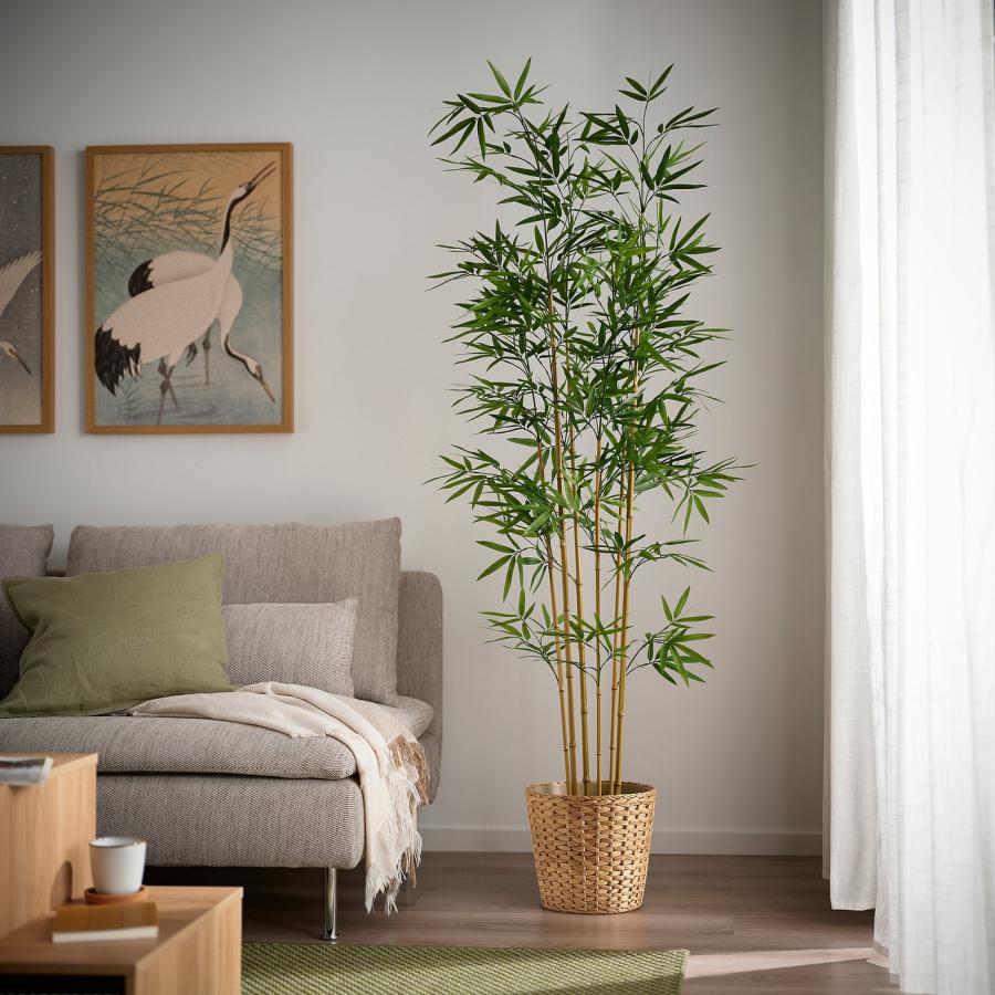 [IKEA/イケア/通販]FEJKA フェイカ 人工観葉植物, 室内/屋外用/竹, 21 cm[E](20610608) |  | 01