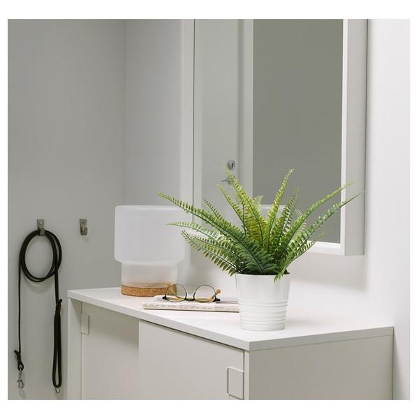 [IKEA/イケア/通販]FEJKA フェイカ人工観葉植物, 室内/屋外用 アビス,9 cm[D](20615253) |  | 01
