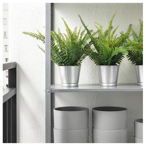 [IKEA/イケア/通販]FEJKA フェイカ人工観葉植物, 室内/屋外用 アビス,9 cm[D](20615253) |  | 02